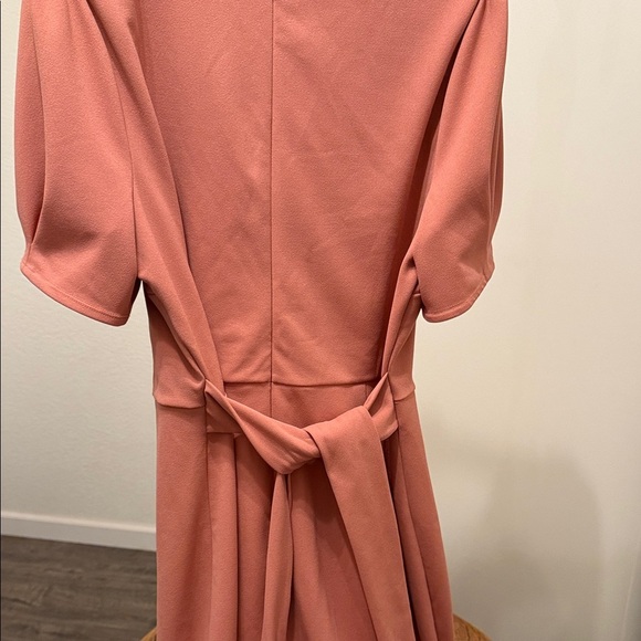 Express Women's Rose V Neck  Dress Size XL - Picture 6 of 12